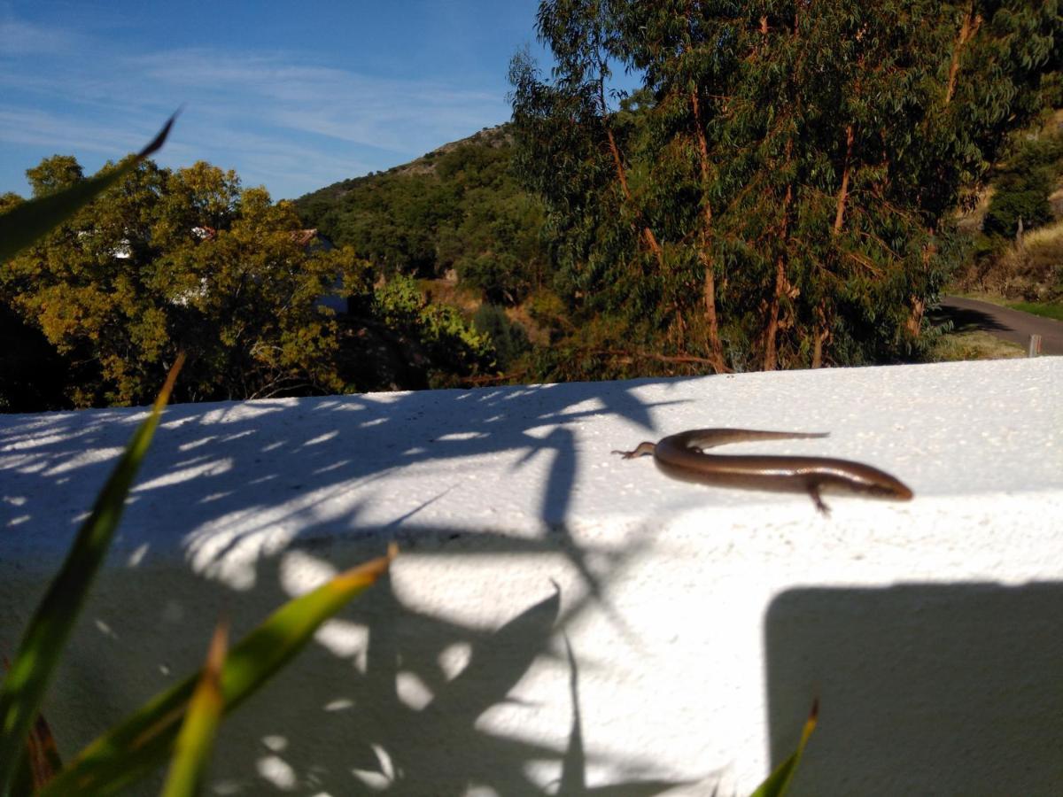 Casas Do Contrabando Bed and Breakfast Marvão Eksteriør billede